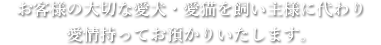 愛犬・愛猫との時間を、より幸せに過ごせるように無理のない、個性に合わせたトリミングを