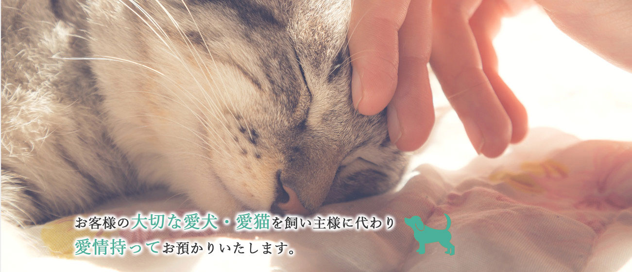 お客様の大切な愛犬・愛猫を飼い主様に代わり愛情持ってお預かりいたします。