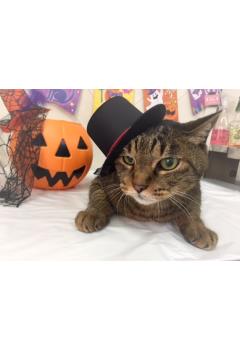 ういろうちゃんのお兄ちゃま♪