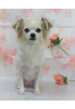 ツヤツヤになったよ♪